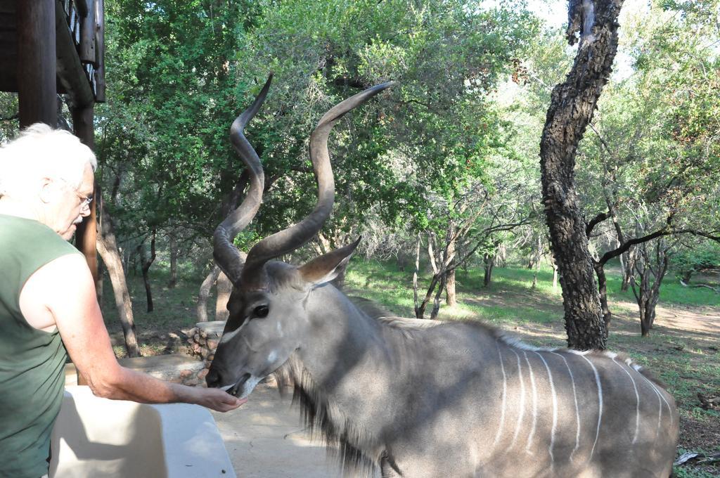 Treetops Marloth Park Ngoại thất bức ảnh