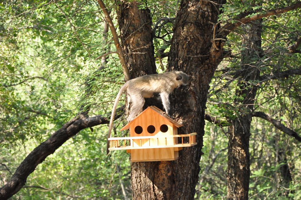 Treetops Marloth Park Ngoại thất bức ảnh