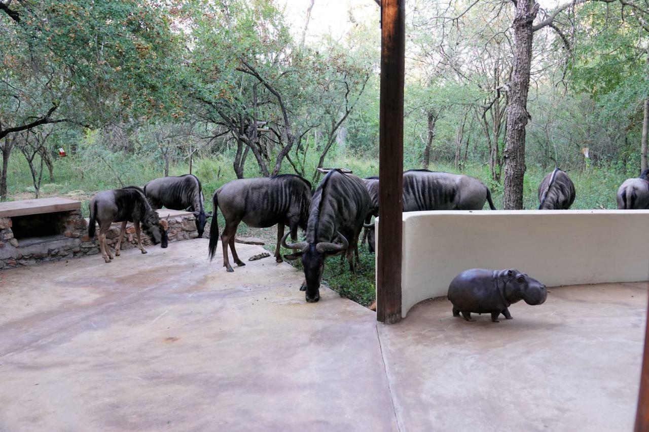 Treetops Marloth Park Ngoại thất bức ảnh